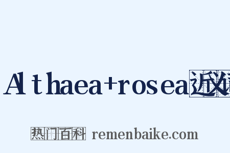 Althaea+rosea近义词是什么意思的图片